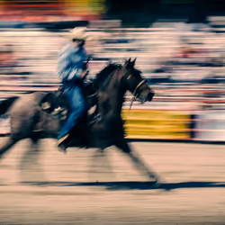 Horse rider