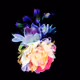 Bloom by Strange Process