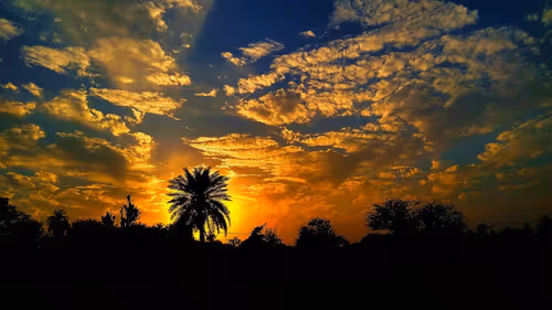 Item #59001070930207356693610520244542519614978813094874003086701142022780511846401 Media