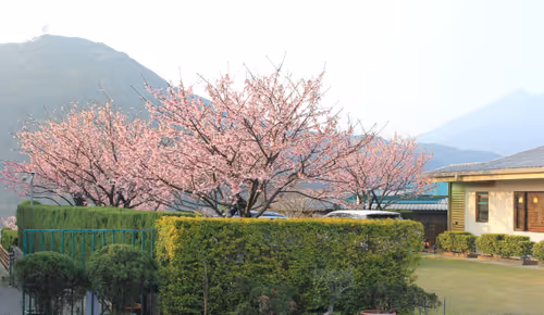 Item #88341892428238457671163359138931352612055705478125639874456303491821430898689 Media