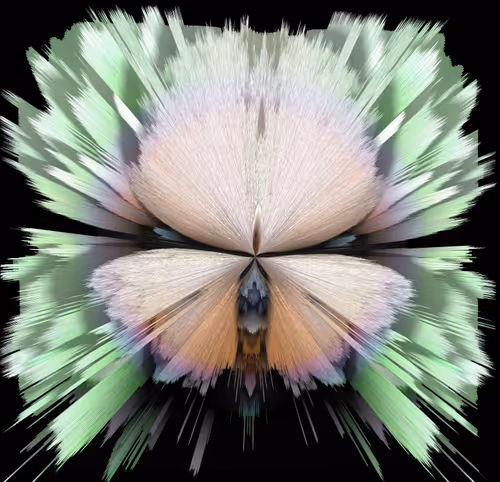 Item #42563441271919704082120100861601504742671505573607663294721934469394432262145 Media