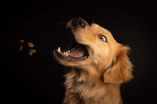 Item #3145360531430904933495942820931552338028161050553888084454697299098699038721 Media