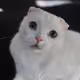 78904777381485079508273768208513258368966573342896872897346965113454446247937