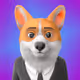 CORGI 3D