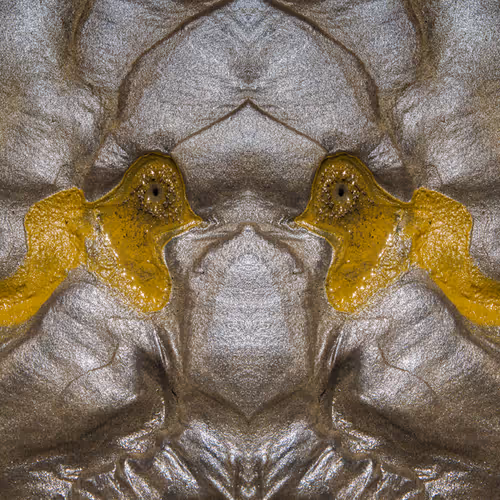 Untitled Collection #450119016 - old