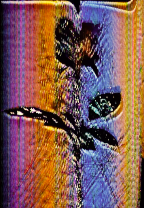 Item #6543125285758794139519418366552479585360659536622126303737984804474499104769 Media