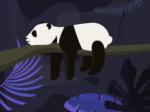 Item #84519347919556447252720727489388726022662122640027749953158170351822209810433 Media