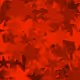 45681402633511433137108919145312677753017779130744529330042284386995111198721