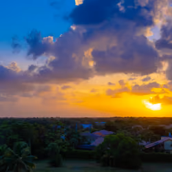 "The Blues" | Series - Boca Raton, FL