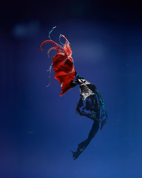 Item #109516060790128716410476023957010007194992899360469946350860993266615150706689 Media