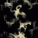 59576328445515739195370463517353860911468436894088720640490489415015096909825