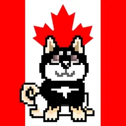 black_shiba_g7
