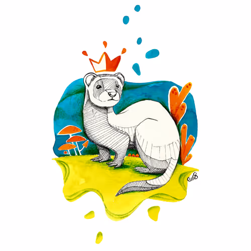 Item #59678200456052497712296246138110222695990530638090244174697404564862870224897 Media