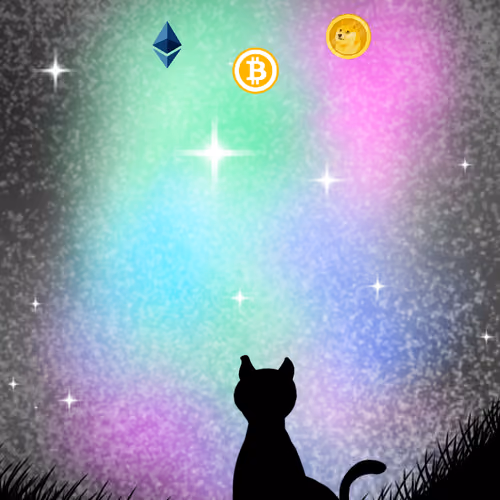 Me as a cat at every night 