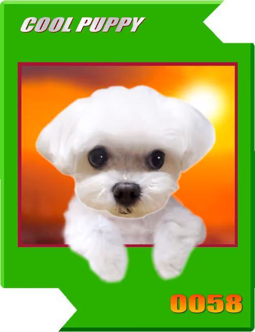 Item #21477548388787063266658748687199700189937005018840532589754440417308621930497 Media