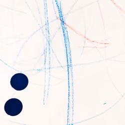 lines#016