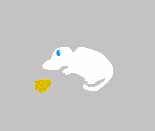 Item #77035357982098881666819501431342404528348825400377863585377868620247670456321 Media