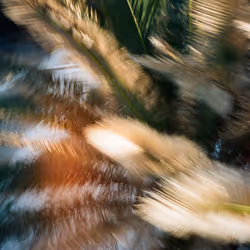 38495668349306452240688866721683925223246116077147746545727998349149443457124