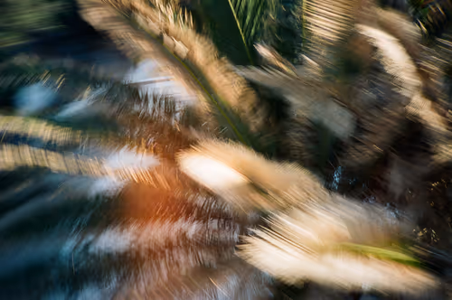 Item #38495668349306452240688866721683925223246116077147746545727998349149443457124 Media