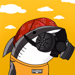 #916