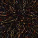 74011109513159304894558377152860080667648997857135590135513699230827015045121