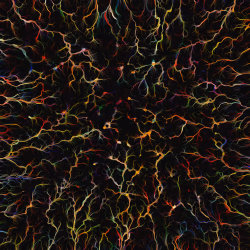 Item #74011109513159304894558377152860080667648997857135590135513699230827015045121 Media