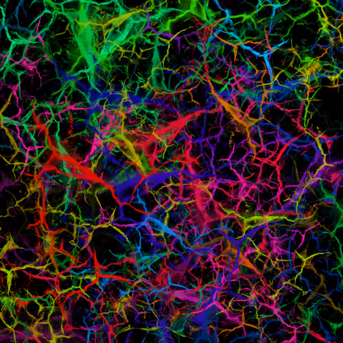 Item #50918555062582210159273167721725581522404743190091886750106034855305818406913 Media