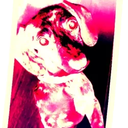 Cyber Sauage #6