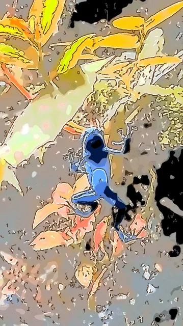 Item #93913250498272236724471848298339074761643801539036951794417632454650621853697 Media