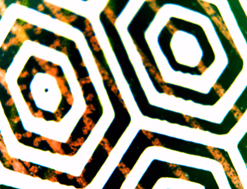 Item #71646257518770613568983710813551014237803002136866425209291833961422889418753 Media