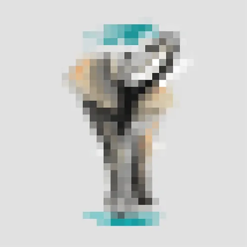 Item #77119396531366344596886090589511039374594783628229894181469746039844381917185 Media