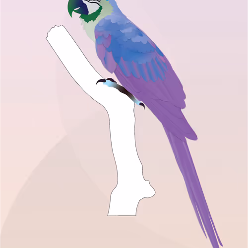 Vector Birds