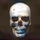 CYBORGS The Fallen Ones
