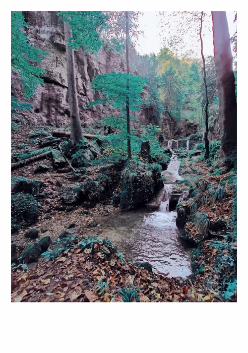 Item #5598991222745073335604082861386074683090632639195630123578195501522930892801 Media