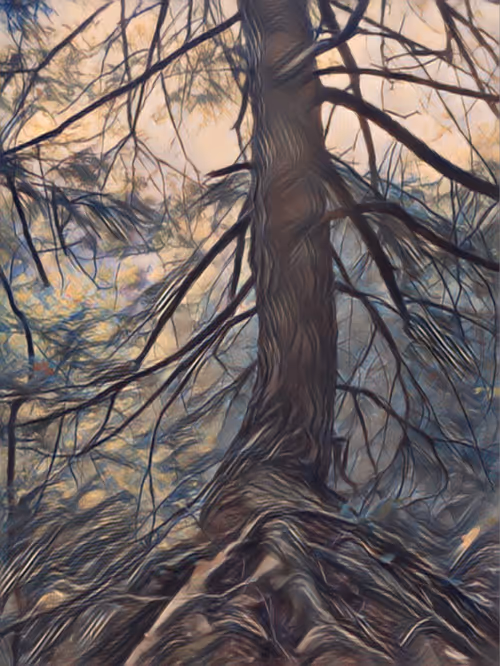 Item #9014913768243109715152836409366924819679517277008937326334529369078696509441 Media