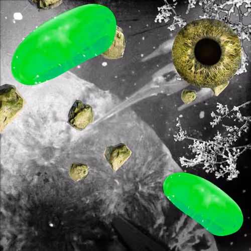 Item #99617095079910595980254990270876944363628162276742898399989141834612607025153 Media