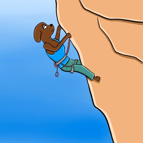 91190804524178088973828423436075625714456414569628303431916150013021325885441