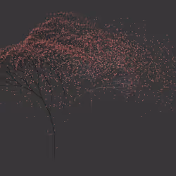 67154617034340034456453366385792604942607367955217100128958556067208129150977