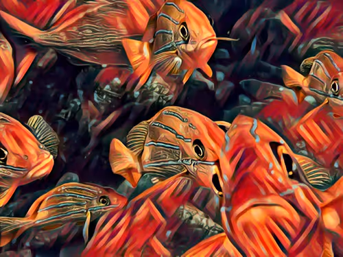 Item #103053869502061589766619055329076968978889786929838480007770308354693968953345 Media