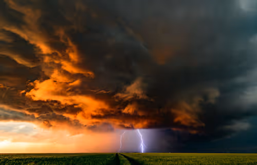 Item #10084359296818805900754201527705818084657327747605854224485982372386081603594 Media