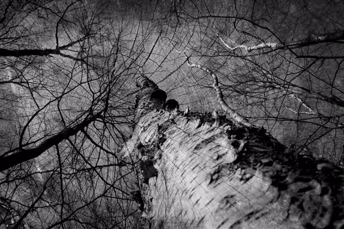 Item #40160686583094733528677484039903516258611509642019211679321071548529654104065 Media