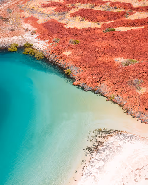 Item #98364308577151193896223353629965486931327977974902168475633960484697905561601 Media