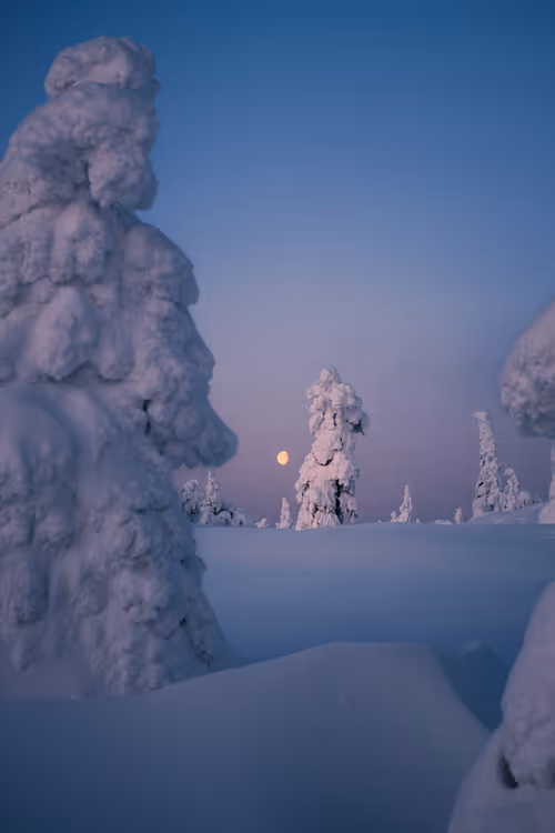 Item #85137439897558800446681939847979956921112818192745958846838339012835527360513 Media