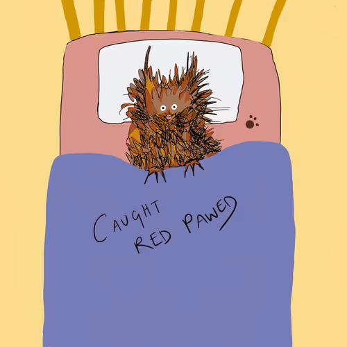 8190719571610145789568542506567364700647027859008357845740195072899631022081