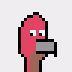 BitBird 541