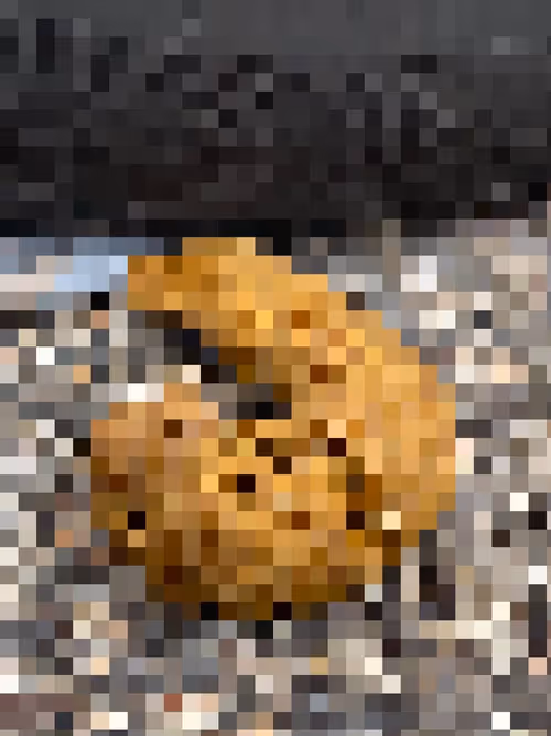 Item #2850415134272365380187775685678842410458265265709128331682257596435723714561 Media