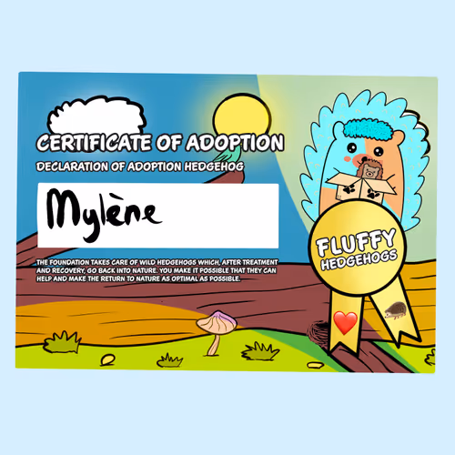 Fluffy Adoptions