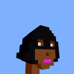 PunkVoxels #1265