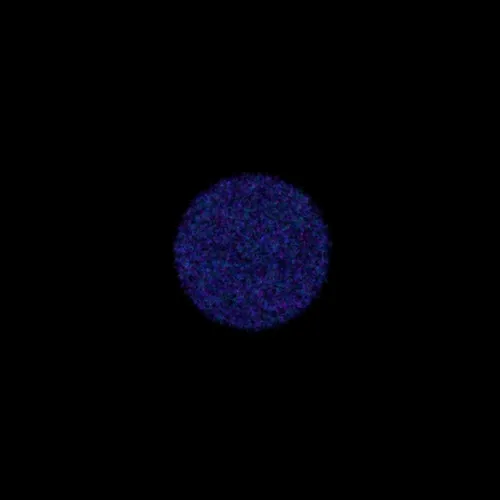 Physarum #200
