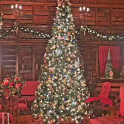 Biltmore Christmas Tree